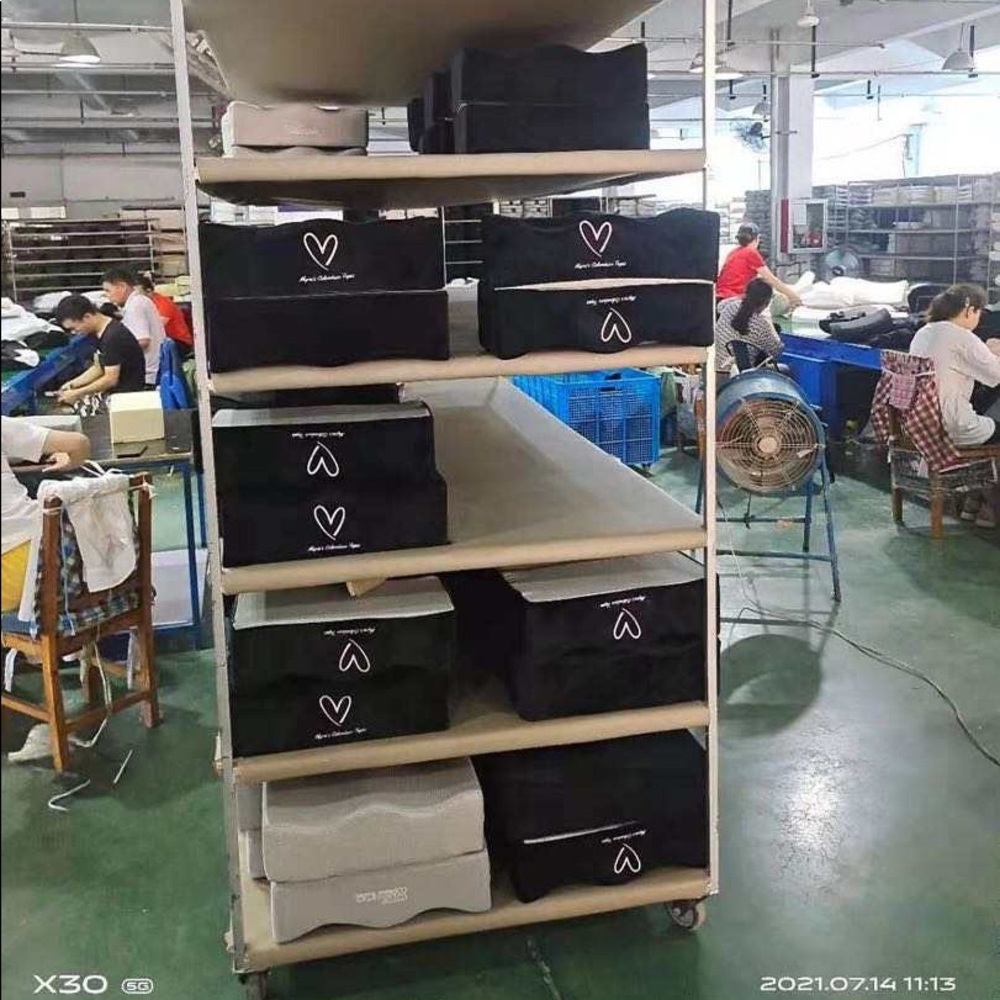 Bbl Pillow - image 2